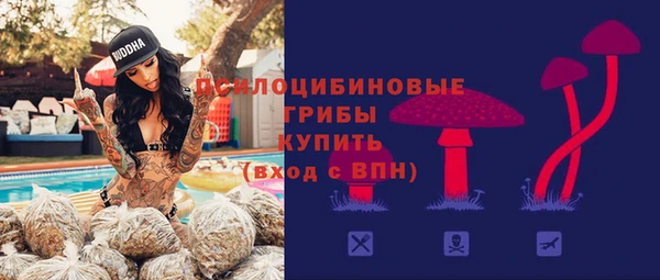 а пвп мука Абаза
