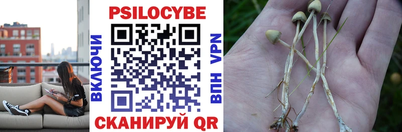 дарнет шоп  Шиханы  Галлюциногенные грибы прущие грибы 